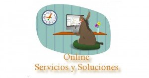 Online Servicios y Soluciones